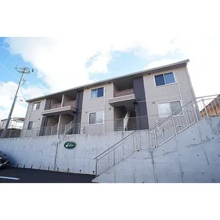 パウロニア Cの画像