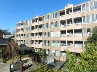 エリジオンの画像