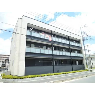 プルメリアの画像