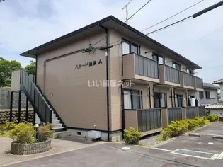 ハヤード美旗Bの画像