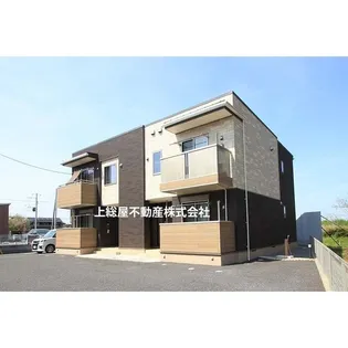 コラードDの画像