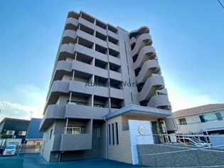 ジャパネスク帯山の画像