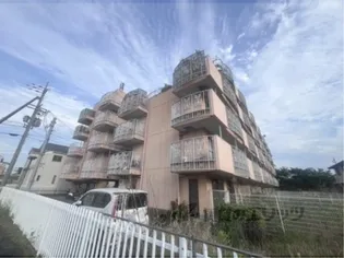 ニューエストタカダの画像