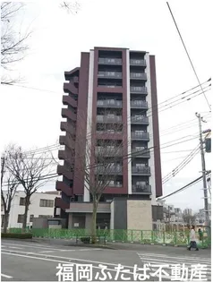 コージースタイルの画像