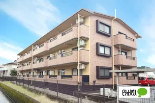 アヴァンセの画像