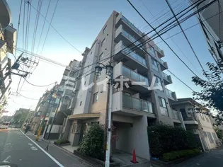 パピエ レイの画像