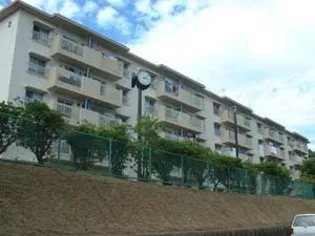 小田原橘の画像