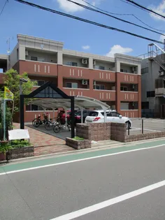 ブルーバードの画像