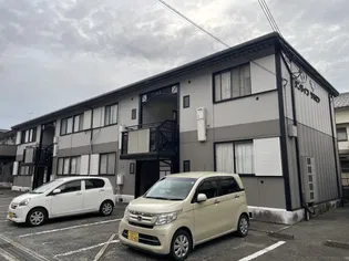 サンライフサルビアの画像