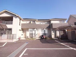 ファーストシーズンの画像