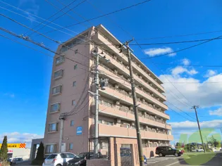 カルトセゾン鶴ヶ谷東【6階】の外観