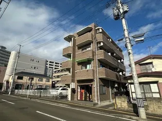 コットンKの画像