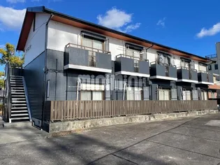 アイリス八帖の画像