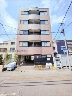 デイジーヒルの画像