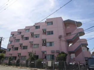 グレースマキの画像