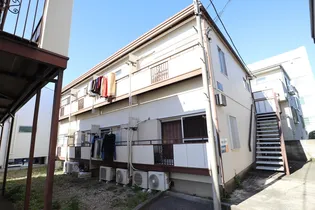 ハイム白菊の画像