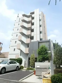 ルピナスの画像