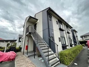 T TOWNカミールの画像