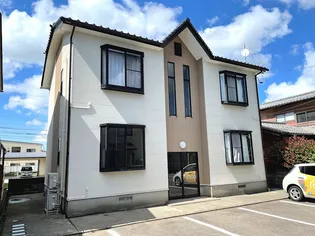 マーセルミュゼの画像