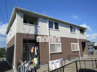 エタニティーローズの画像