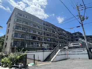 チュリス石山の画像