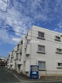 堂坂マンション【2階】の外観