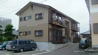 フローレスIIIの画像