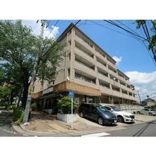 ロアンヴェール玉奈の画像