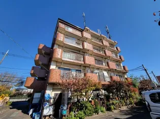 タキヤマフサミビルの画像