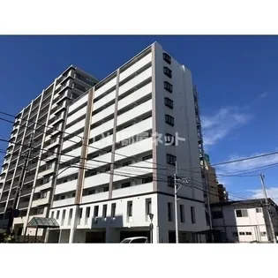 エストシエルの画像