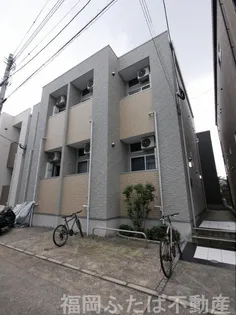 フェリチタの画像