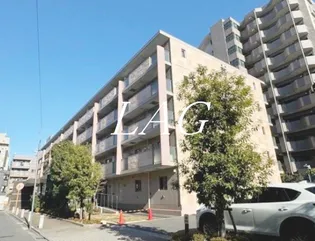 セレリーオ ニッコーの画像