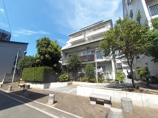 オクタビア ヒルDの画像