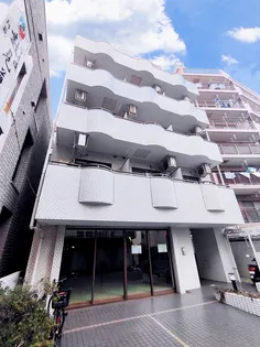 サン ルピナスの画像