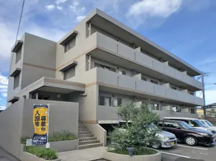 オリーブ Fの画像