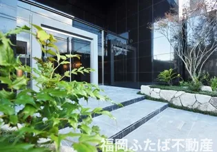 アルファシオレヴァークの画像