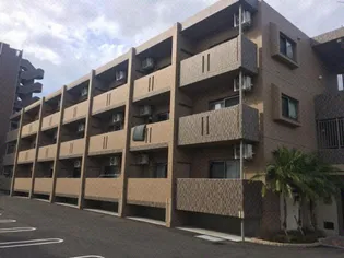 アンシャンテYの画像