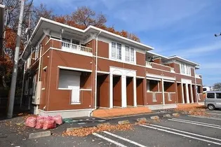 プリムローズDの画像