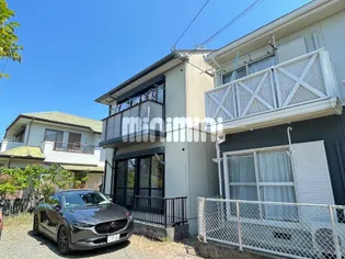 チェリーブロッサムの画像