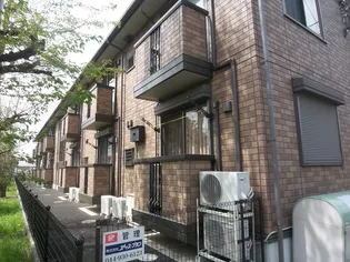 MERRY和泉の画像