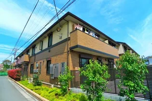 オーキッドの画像