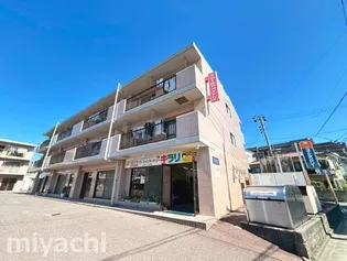 アマ デトワールIIの画像