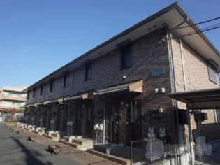 アリビオの画像