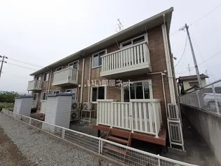 グレース グレイスの画像