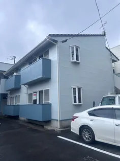 ジュネスクイーンの画像