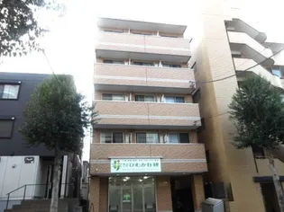 AMAPOLAの画像