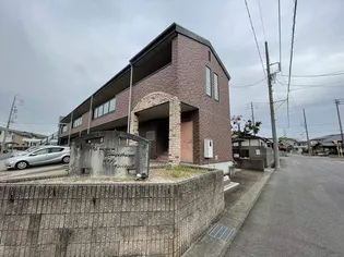 マメゾンサンパティークの画像