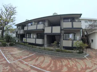 セカンド楠の画像