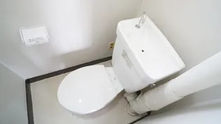 新町ハイツ【5階】の内装