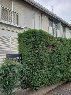 神奈川県川崎市中原区小杉陣屋町2【アパート】の外観